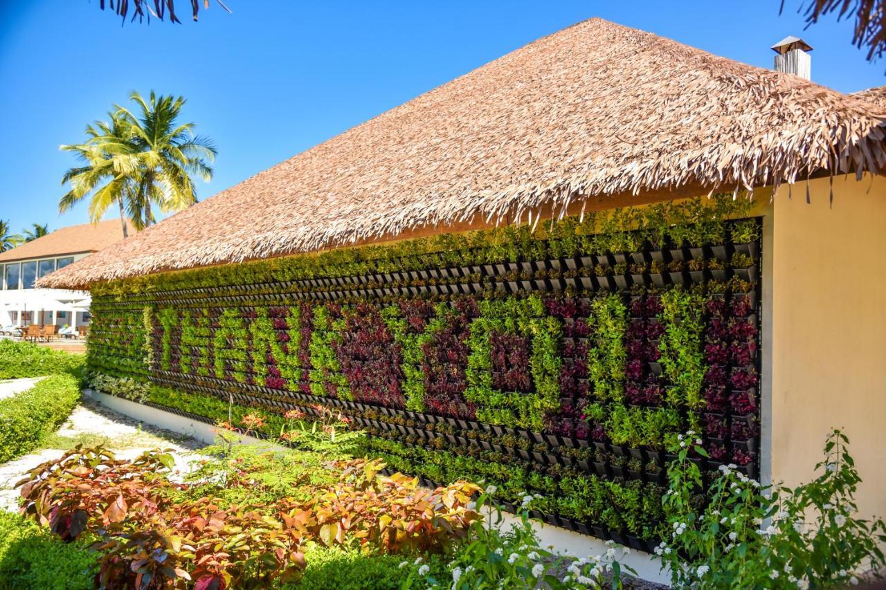 Reethi Faru, Bio Luxury Resort Meedhoo  Exteriör bild